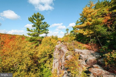 Very motivated sellers!!!Escape to Your Profitable Mountain - photo 49