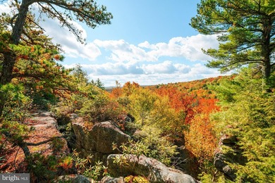 Very motivated sellers!!!Escape to Your Profitable Mountain - photo 50