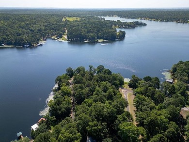 Rare opportunity to own one of the most desirable waterfront - photo 7