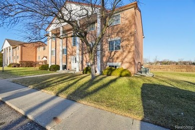 (private lake, pond, creek) Condo For Sale in New Baltimore Michigan
