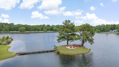 Private lake property with island, pool, & observatory - photo 4