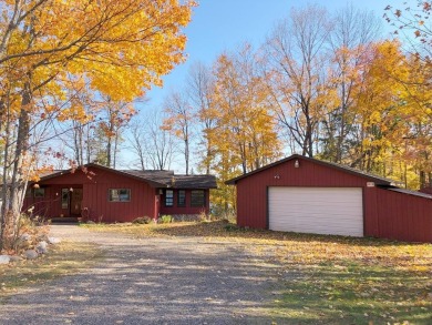 (private lake, pond, creek) Home For Sale in Mercer Wisconsin