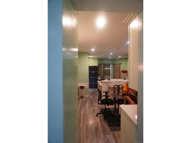 Beautifully newly renovated two-family frame house featuring a - photo 5