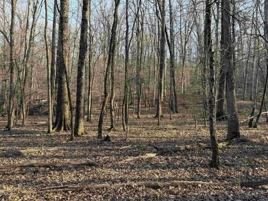 Escape to the natural beauty of the Ozarks with this 16.55+/- - photo 2