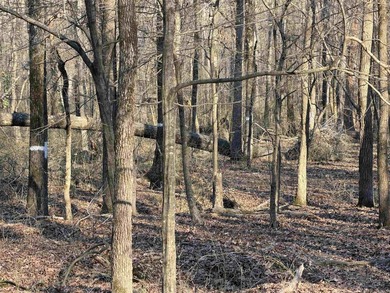 Escape to the natural beauty of the Ozarks with this 16.55+/- - photo 3
