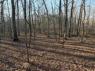 Escape to the natural beauty of the Ozarks with this 16.55+/- - photo 4