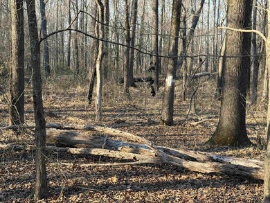 Escape to the natural beauty of the Ozarks with this 16.55+/- - photo 5