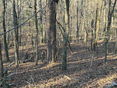 Escape to the natural beauty of the Ozarks with this 16.55+/- - photo 6
