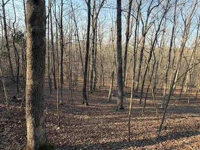 Escape to the natural beauty of the Ozarks with this 16.55+/- - photo 7