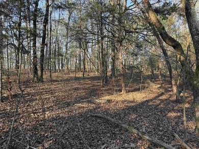 Escape to the natural beauty of the Ozarks with this 16.55+/- - photo 8