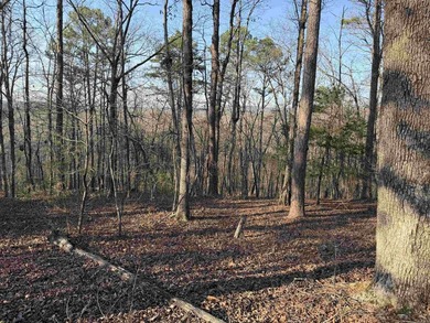 Escape to the natural beauty of the Ozarks with this 16.55+/- - photo 9