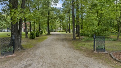 Private lake property with island, pool, & observatory - photo 39
