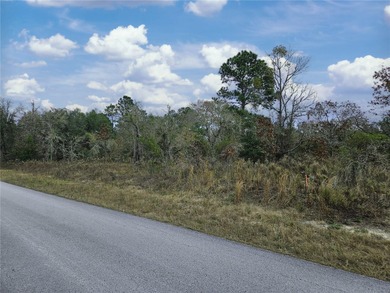 Bonable Lake Acreage For Sale in Dunnellon Florida