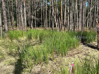 If you're looking for your piece of Daufuskie with no POA fees - photo 6