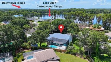 Lake Ellen - Hillsborough County Home For Sale in Tampa Florida
