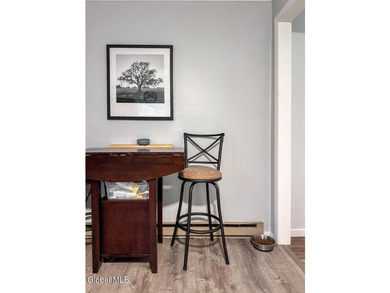 Exceptional investment opportunity in the heart of Lake George! - photo 15