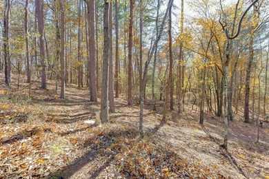 Lake Lanier Home For Sale in Dawsonville Georgia