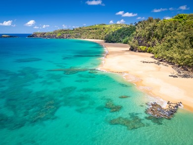 Perched above Kauai's most iconic stretches of North Shore - photo 28