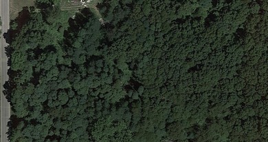 This is a generously sized lot in Lakeview Estates, a lakeside - photo 4