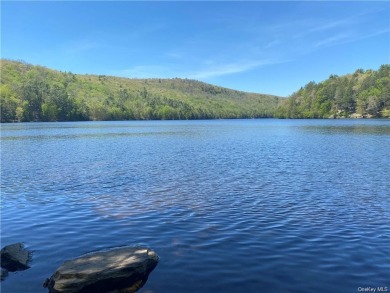 McAuleys Lake Acreage For Sale in Forestburgh New York