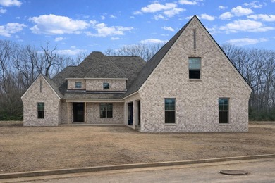 Garner Lake Home For Sale in Lakeland Tennessee