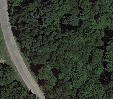 This is a generously sized lot in Lakeview Estates, a lakeside - photo 5