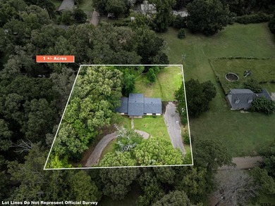 Looking for a lake house for sale in East Texas, without the - photo 3