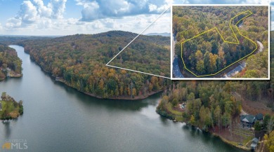 Lake Laceola Acreage For Sale in Cleveland Georgia