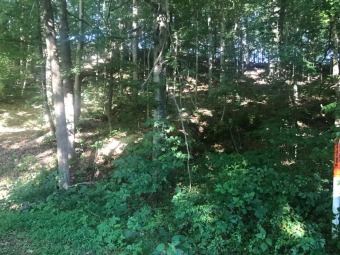 Lake Acreage For Sale in Lewisburg, Kentucky