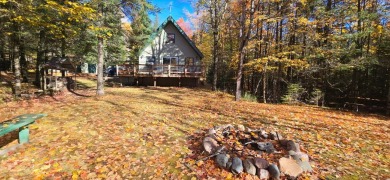 Turtle Flambeau Flowage Home Sale Pending in Mercer Wisconsin