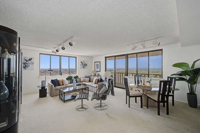 PENTHOUSE LIVING WITH STUNNING OCEAN, BAY, AND SUNSET VIEWS! - photo 5