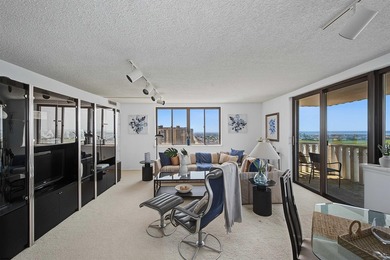 PENTHOUSE LIVING WITH STUNNING OCEAN, BAY, AND SUNSET VIEWS! - photo 6