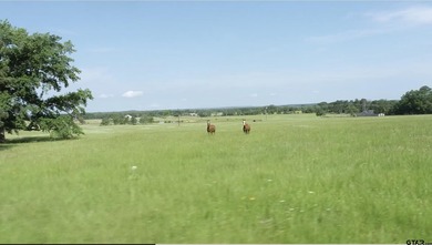 This lot offers you a soaring view of the vast Pine Mountain - photo 6