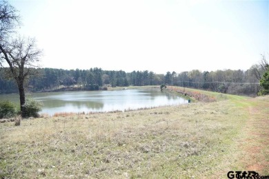 Lake Lot For Sale in Montalba, Texas