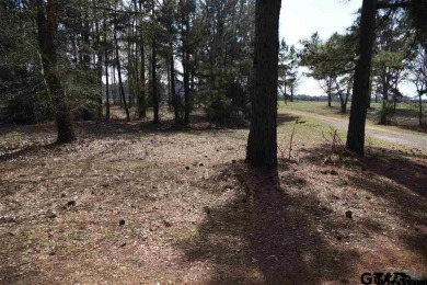 Beautiful Waterfront lot on Eagle Lake. You have your own - photo 5