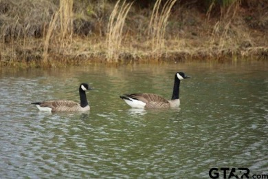 Beautiful Waterfront lot on Eagle Lake. You have your own - photo 9