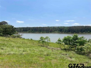 Lake Lot For Sale in Montalba, Texas