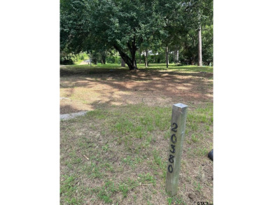 Lake Lot For Sale in Chandler, Texas