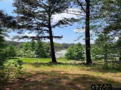 Beautiful Waterfront lot on Eagle Lake. You have your own - photo 3