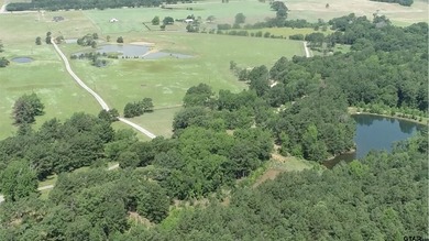 Beautiful Waterfront lot on Eagle Lake. You have your own - photo 8