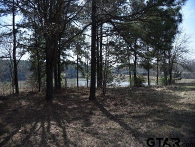 Eagle Lake - Anderson County Lot For Sale in Montalba Texas