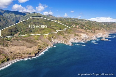 Pristine 370 acres located in Waihe'e Valley on the North Shore - photo 2