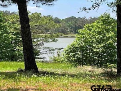 Eagle Lake's prestige Waterfront lot located centrally over - photo 4