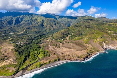 Pristine 370 acres located in Waihe'e Valley on the North Shore - photo 4
