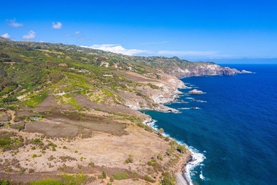 Pristine 370 acres located in Waihe'e Valley on the North Shore - photo 6