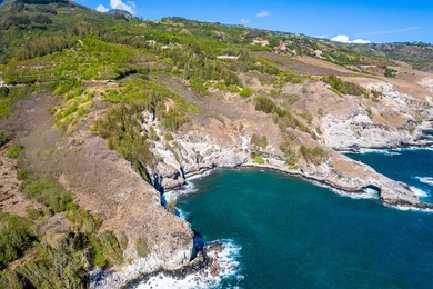 Pristine 370 acres located in Waihe'e Valley on the North Shore - photo 7