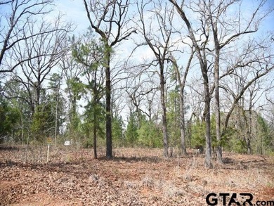 Eagle Lake - Anderson County Lot For Sale in Montalba Texas
