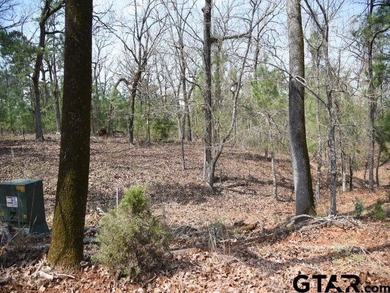 Privacy, privacy, privacy at its best! Lot 25A is located on a - photo 2