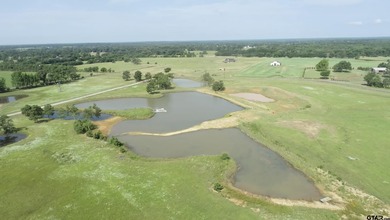 Eagle Lake - Anderson County Lot For Sale in Montalba Texas