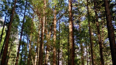 Privacy, privacy, privacy at its best! Lot 25B is located on a - photo 4